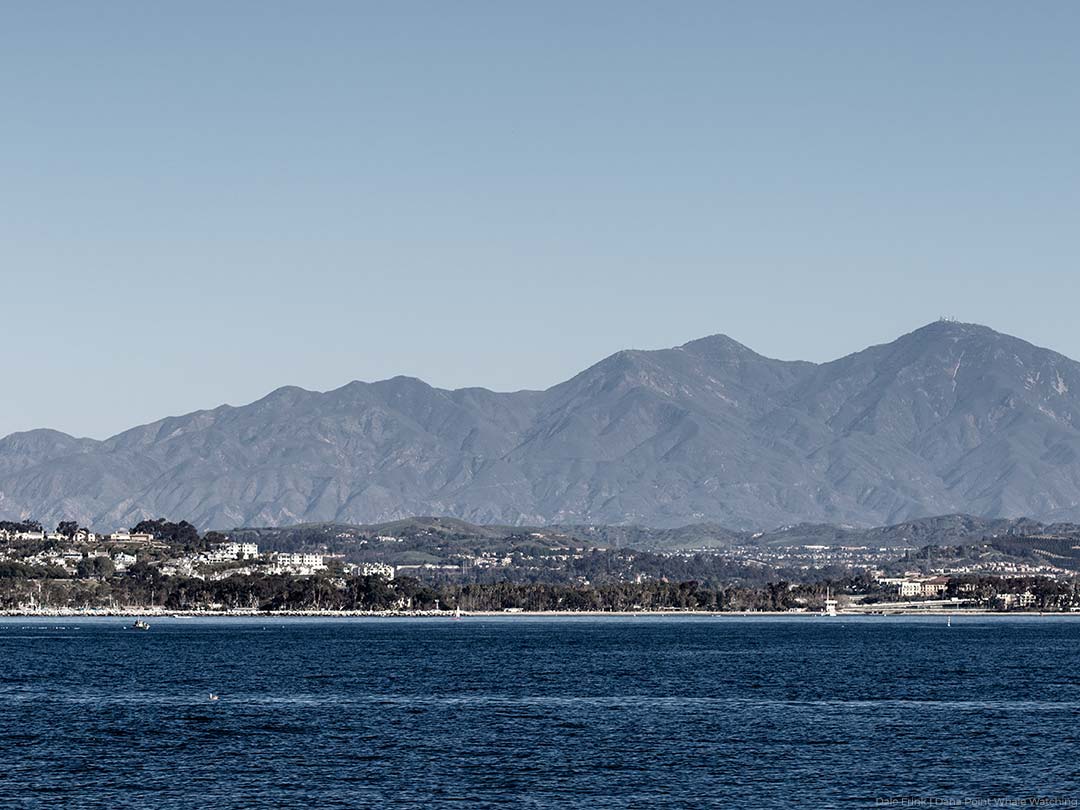 Dana Point's pristine landscape enhances whale watching trips