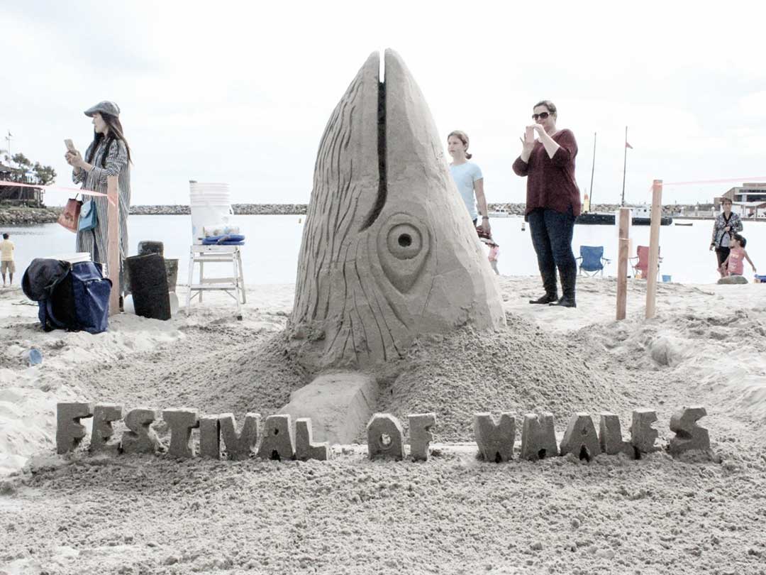 Dana Point Festival of Whales Sand Sculpture